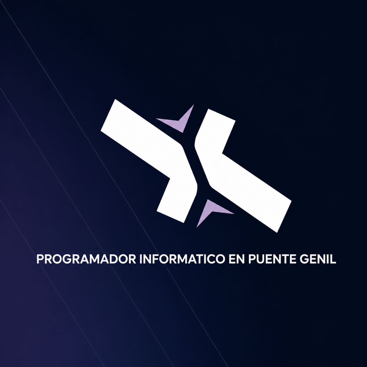 Programador informático en Puente Genil
